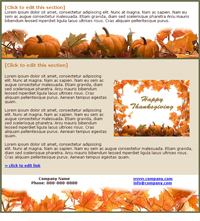 Holiday Email Marketing Template - Happy Thanksgiving