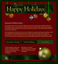Holiday Email Marketing Template - Happy Holidays
